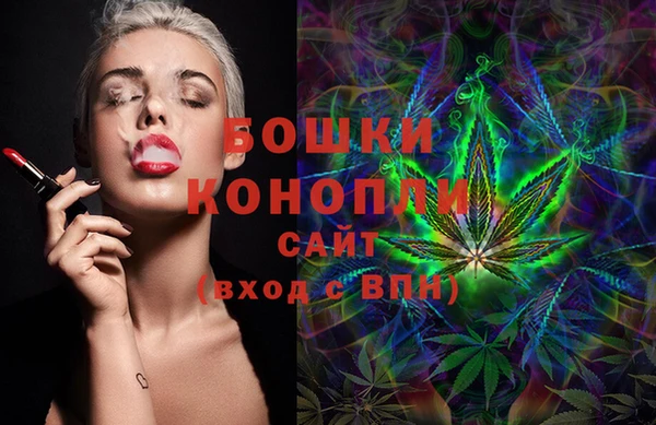 индика Армянск