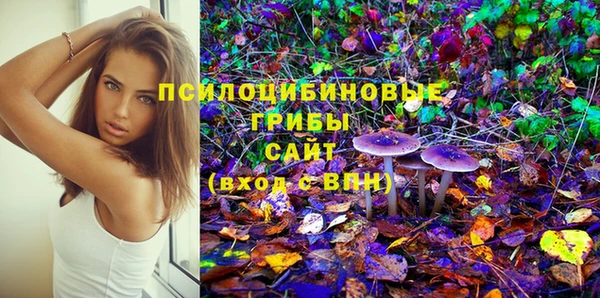 индика Армянск