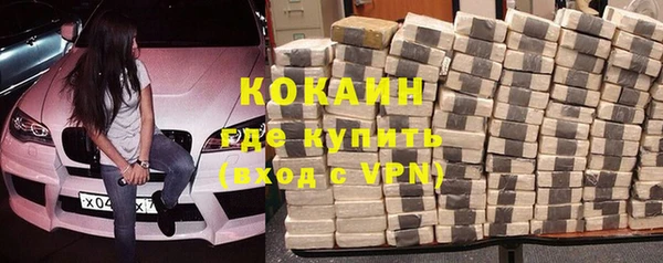 индика Армянск