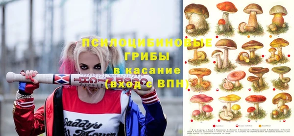 прущие крисы Арсеньев