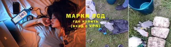 индика Армянск